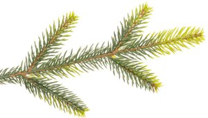 Springos Choinka sztuczna 220 cm z metalowym stojakiem UNIWERSALNY 20