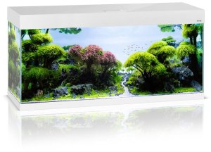 Aquael AQUAEL ZESTAW OPTISET 240 BIAŁY 2.0+SZAFKA 3