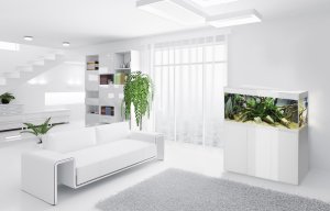 Aquael AQUAEL ZESTAW GLOSSY ST 100 D&N BIAŁY + SZAFKA 10