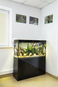 Aquael AQUAEL ZESTAW GLOSSY 100 D&N CZARNY + SZAFKA 13