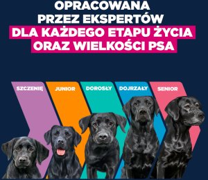 Eukanuba EUKANUBA Junior Large 15kg 8