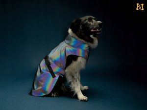 Amiplay JACKET FOR DOGS PETROL GREY 45 2