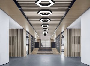 Lampa sufitowa Interlook Lampa sufitowa wisząca żyrandol LED 60cm Hexagon 2
