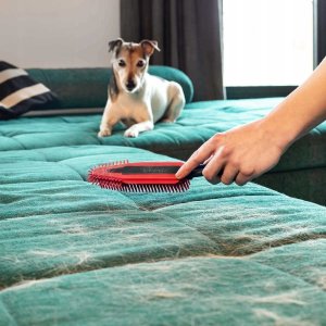 Vileda Pet Pro Szczotka elektrostatyczna do sierści i włosów (5906142910557) 11