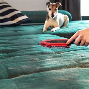 Vileda Pet Pro Szczotka elektrostatyczna do sierści i włosów (5906142910557) 10