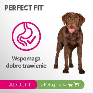 Perfect Fit Perfect Fit - sucha karma pełnoporcjowa dla dorosłych psów średnich i dużych ras, bogata w kurczaka 2,6kg 2