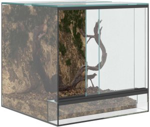 vidaXL vidaXL Terrarium z przechowywaniem przezroczysty 30 x 30 x 30 cm Szkło 3