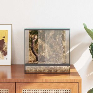 vidaXL vidaXL Terrarium z przechowywaniem przezroczysty 30 x 30 x 30 cm Szkło 4