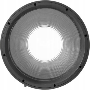 Amaran Amaran Fresnel for Ray 4