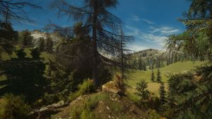 Discovery: Gorączka Złota - Edycja Limitowana PC 12