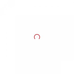 Luneta Himawari Celownik pryzmatyczny Hawke Prism Sight 1x15 Circle Dot 4