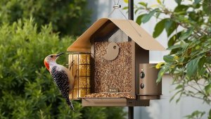 Skrzynkazdrewna Birdfy Feeder Metal V - karmnik dla ptaków z kamerą 4