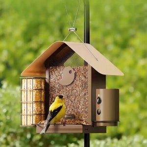 Skrzynkazdrewna Birdfy Feeder Metal V - karmnik dla ptaków z kamerą 6