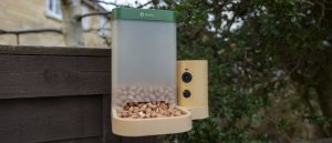 Skrzynkazdrewna Birdfy Feeder Rookie - karmnik dla ptaków z kamerą 2