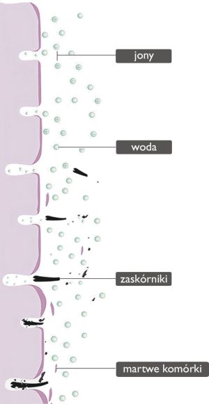 Beautifly Urządzenie do peelingu kawitacyjnego (BJ-1357) 8