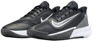 Nike Buty do koszykówki NIKE AIR PRECISION VII (FN4322 005) 44 6