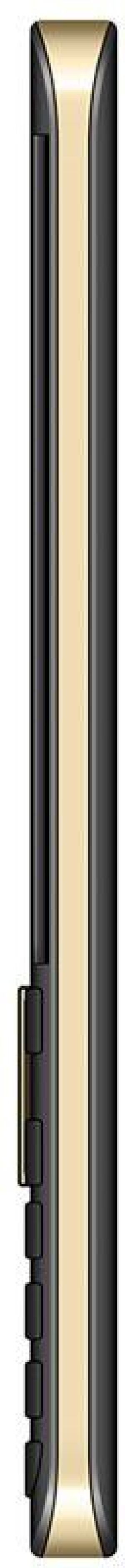 Telefon komórkowy Maxcom MM236 Dual SIM Czarno-złoty 6