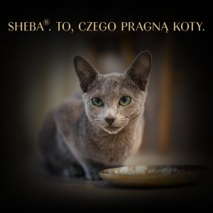Sheba SHEBA Filety z kurczakiem, rybami oceanicznymi i krewetkami w sosie tacka 60g 5
