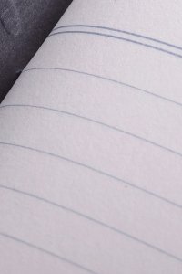 Make Notes Notes Field Notes Jesienne Kwiaty Linie 3 Pack 2