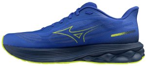 Mizuno Męskie buty do biegania WAVE SKYRISE 7 (J1GC260901) 44 3