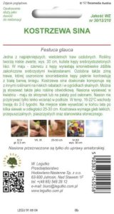 Legutko Kostrzewa sina - srebrnoniebieska 2