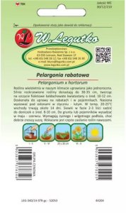 Legutko Pelargonia Gama F1 - fioletowa 2
