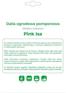 Legutko Dalia Pink Isa różowo-biała 1szt. 2