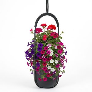 Lamela Doniczka wisząca czarna 17,3 cm  tworzywo sztuczne czarny 4