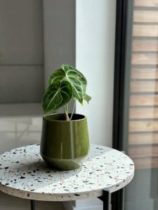 Polnix Osłonka ceramiczna butelkowa zieleń 13 cm okrągła w połysku 1 szt. 2
