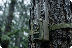 Kamera cyfrowa Genway FOTOPUŁAPKA z panelem solarnym Kamera leśna Zintronic GSM 4G LTE 3MPx 6