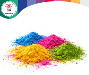 Holi Cow Kolorowy proszek Holi zestaw10x100g Holi Cow 27334 9