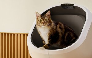 Petlibro Luma (59829-0) 6