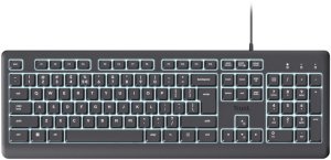 Klawiatura Trust PRIMO ILLUMINATED KEYBOARD DE 4