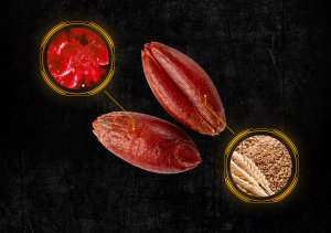 RatOut Trutka Trucizna Środek Gryzoniobójczy na Szczury Myszy Gryzonie Zbożowa Zatrute Ziarno Czerwone Brodifakum 7,5kg 6