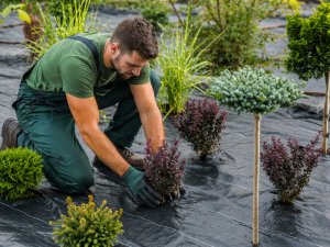 PrimeGarden Gruba agrowłóknina agrotkanina 70g 1x50m antchwastowa agrotkanina czarna 7