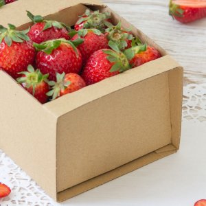 Lumarko Łubianka duża 350x130x105 mm 4