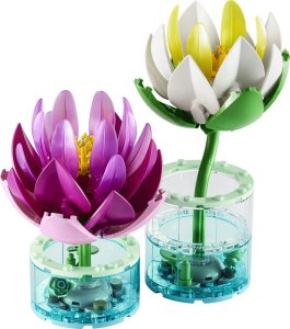 LEGO Botanicals Lilie wodne (11511) 2