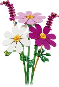 LEGO Botanicals Kosmosy (11514) 2