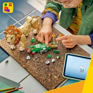 LEGO Creator Dzikie zwierzęta: Dumny lew (31386) 6