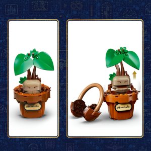 LEGO Harry Potter Rośliny z lekcji zielarstwa w Hogwarcie (76474) 3