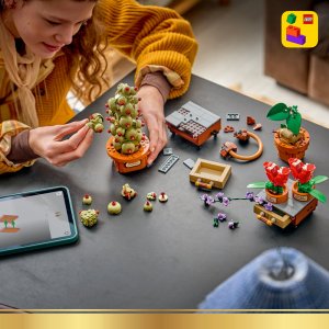 LEGO Harry Potter Rośliny z lekcji zielarstwa w Hogwarcie (76474) 6
