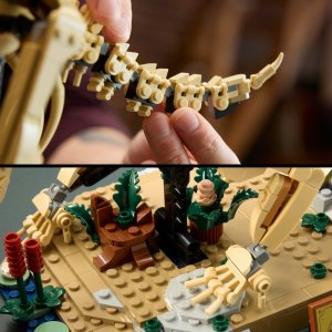 LEGO Jurassic World Szkielety dinozaurów: triceratops (77985) 6