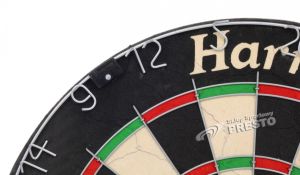 Harrows Tarcza sizalowa Oficial Competition 45.7 cm (T1121) 4