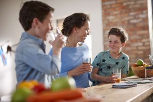 Wyciskarka wolnoobrotowa Philips HR1889/70 20