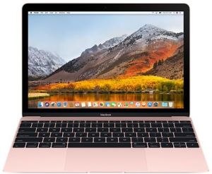 Laptop Apple Macbook (MNYN2ZE/A) 1