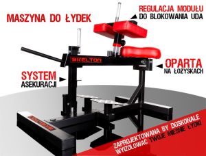 KELTON Hammer łydka siedząc, łydkownica PM4 STRENGTH 2