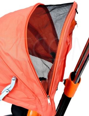 BABYMAXI Rowerek Trójkołowy PATY BIKE PLUS - pomarańczowy 3