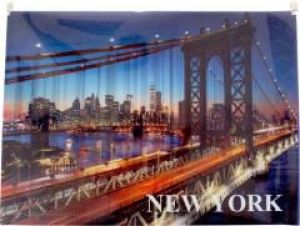 Panta Plast Koperta z nadrukiem zip A4 PP New York (236679) 1