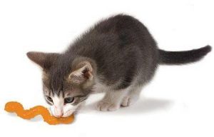 Petstages Orka Robaczek dla kota 2