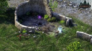 Pillars of Eternity - Hero Edition PC, wersja cyfrowa 2